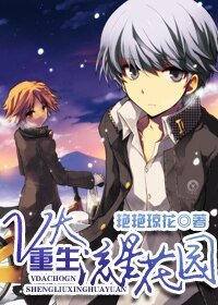 (综漫同人)V大重生流星花园